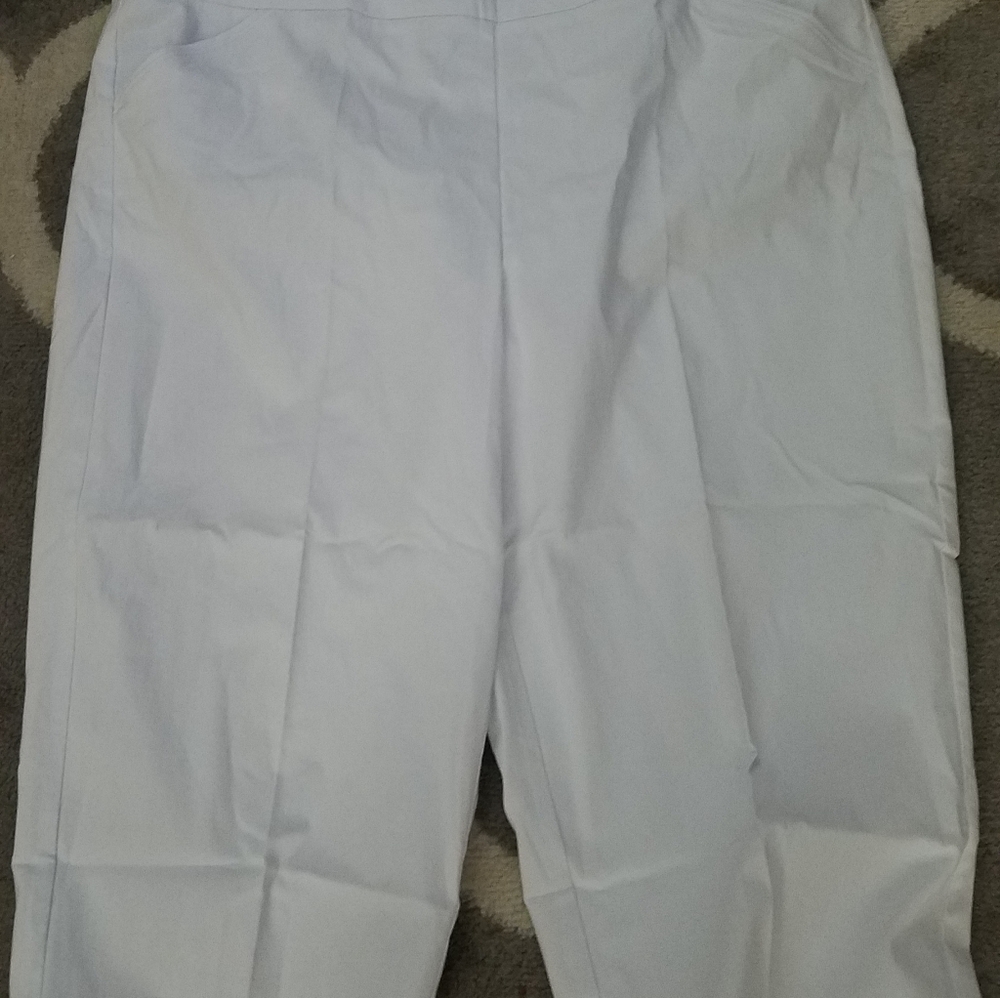 Plus size ankle pants